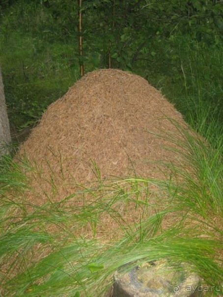 Финляндия 2012