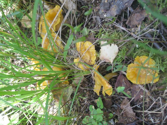 Финляндия 2012