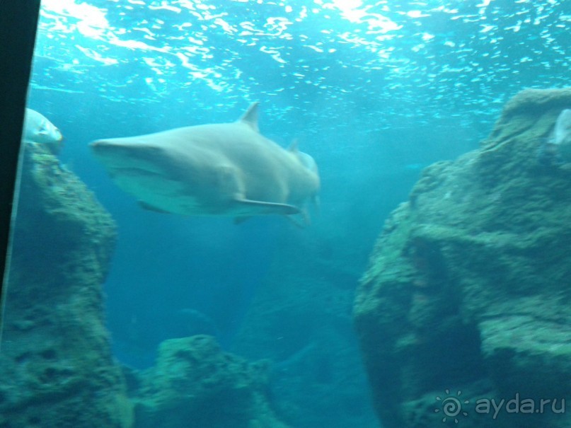 Кому нужно солнце, море и удивительный Крит? Вам сюда!