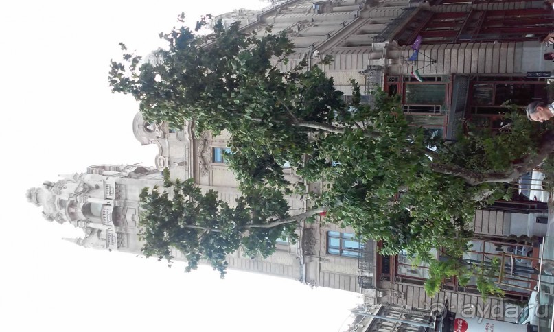 ZEFT2014 – Европейский тур семьи Зайцевых