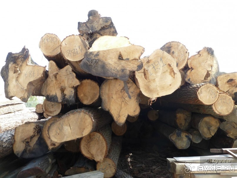 Музей строительства корабля "Полтава" в Санкт-Петербурге