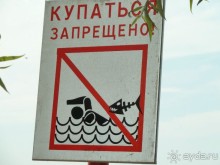 "Мы поедем в Терийоки?"