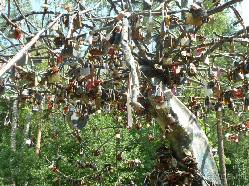 "Мы поедем в Терийоки?"