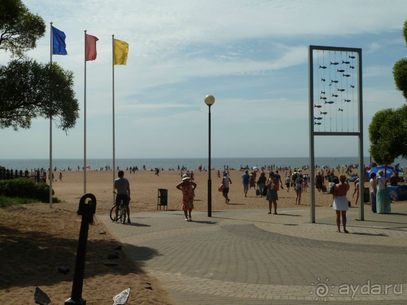 "Мы поедем в Терийоки?"