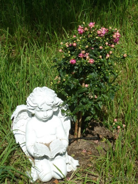 "Мы поедем в Терийоки?"