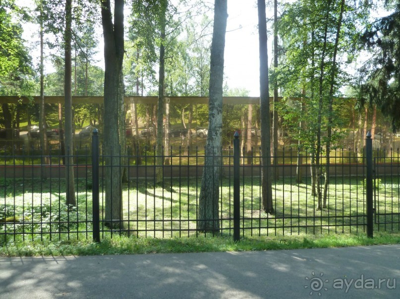 "Мы поедем в Терийоки?"