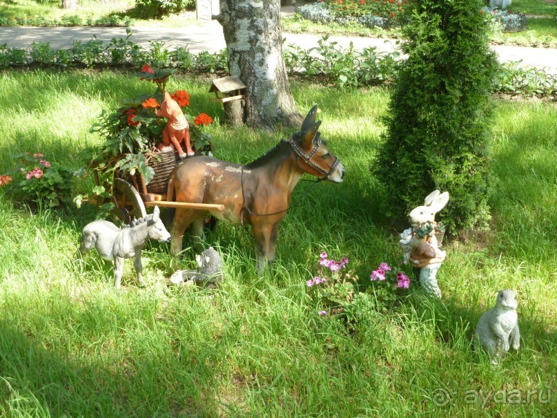 "Мы поедем в Терийоки?"