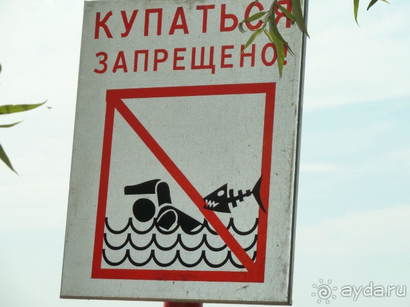 "Мы поедем в Терийоки?"