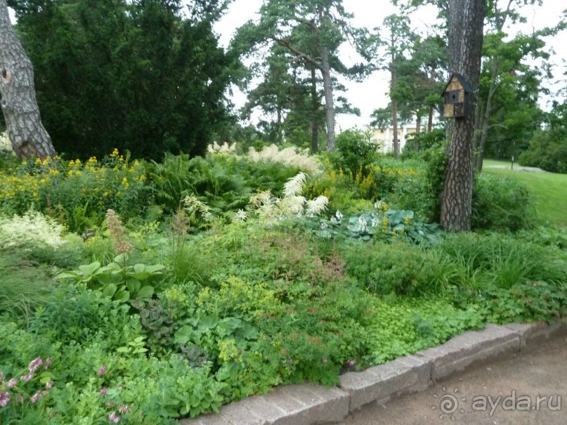 Котка. Просто Котка... Не просто Котка!!