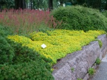 Котка. Просто Котка... Не просто Котка!!