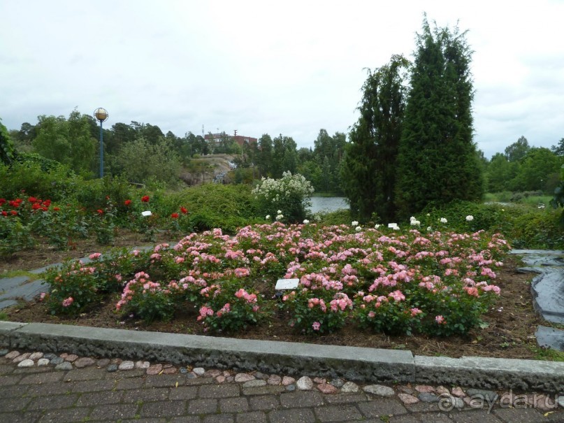 Котка. Просто Котка... Не просто Котка!!