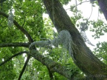 Котка. Просто Котка... Не просто Котка!!