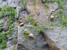 Котка. Просто Котка... Не просто Котка!!