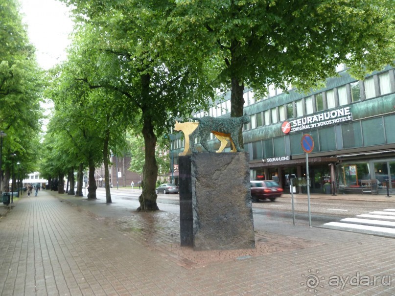 Котка. Просто Котка... Не просто Котка!!