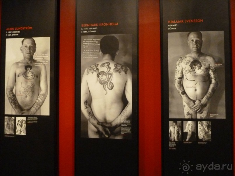 Котка. Просто Котка... Не просто Котка!!