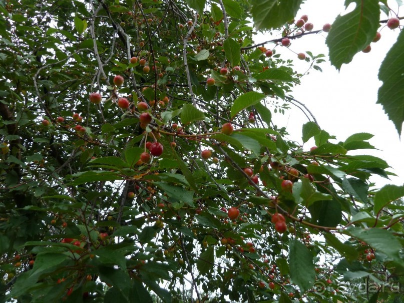 Котка. Просто Котка... Не просто Котка!!