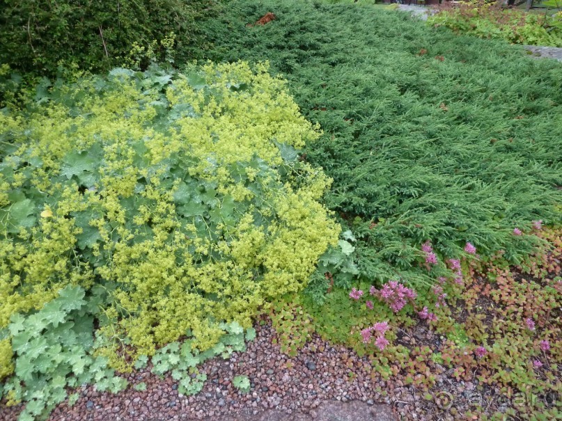 Котка. Просто Котка... Не просто Котка!!