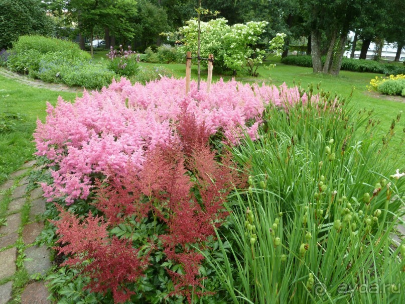 Котка. Просто Котка... Не просто Котка!!