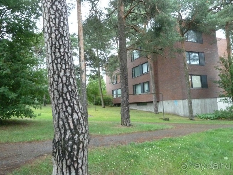 Котка. Просто Котка... Не просто Котка!!