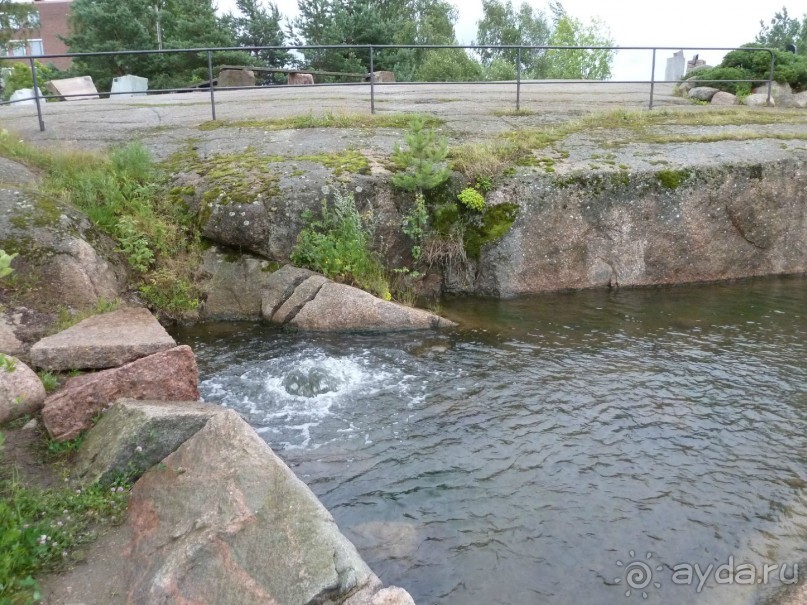 Котка. Просто Котка... Не просто Котка!!