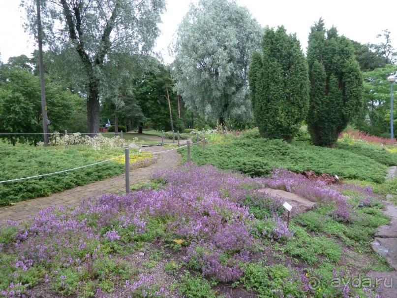 Котка. Просто Котка... Не просто Котка!!