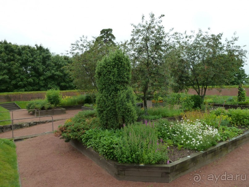 Котка. Просто Котка... Не просто Котка!!