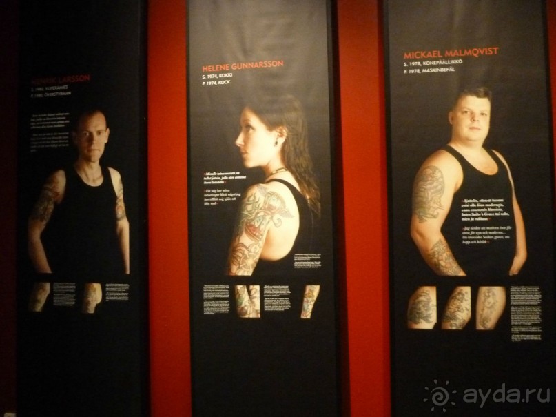 Котка. Просто Котка... Не просто Котка!!