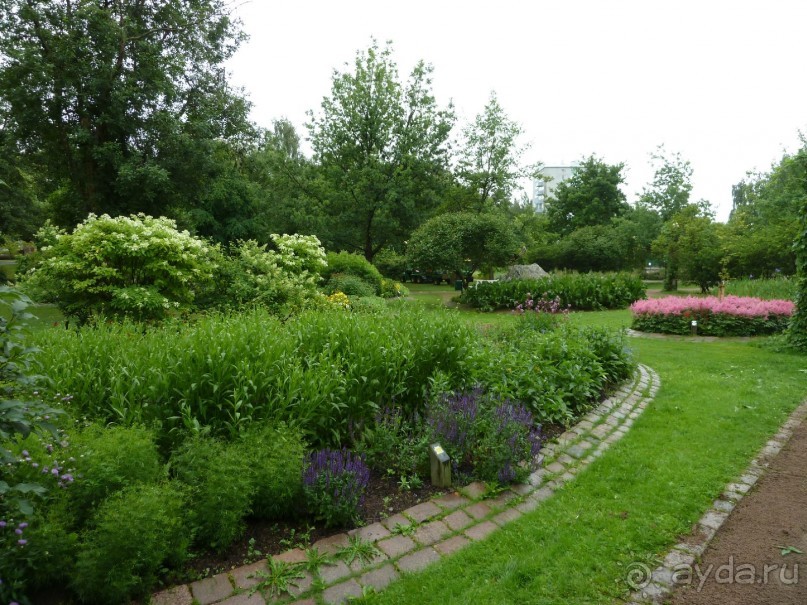 Котка. Просто Котка... Не просто Котка!!