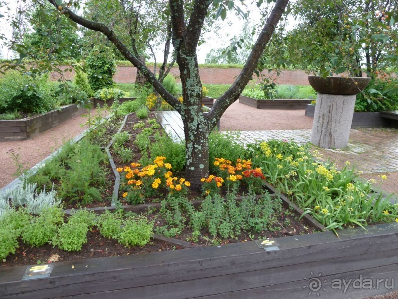 Котка. Просто Котка... Не просто Котка!!