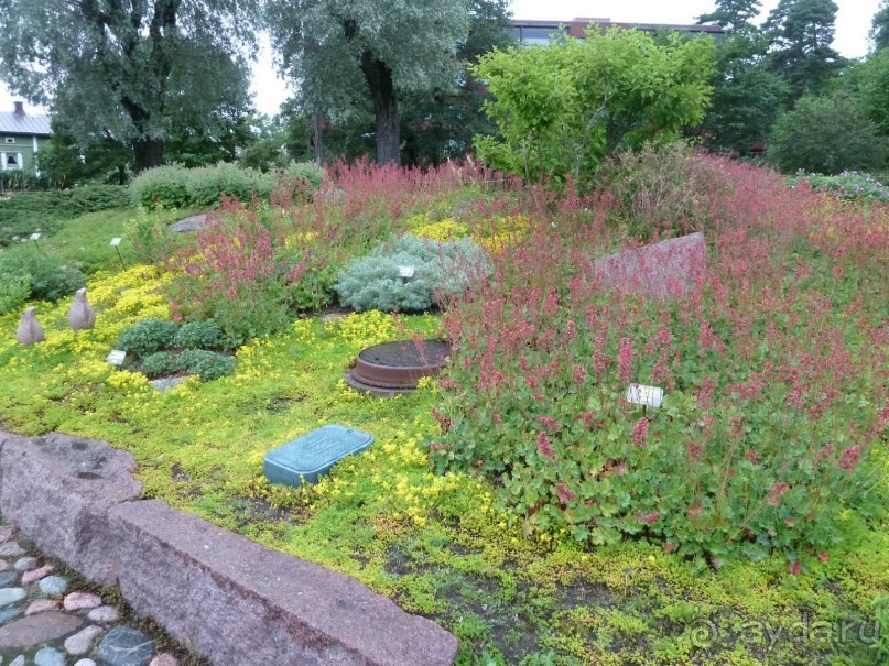 Котка. Просто Котка... Не просто Котка!!