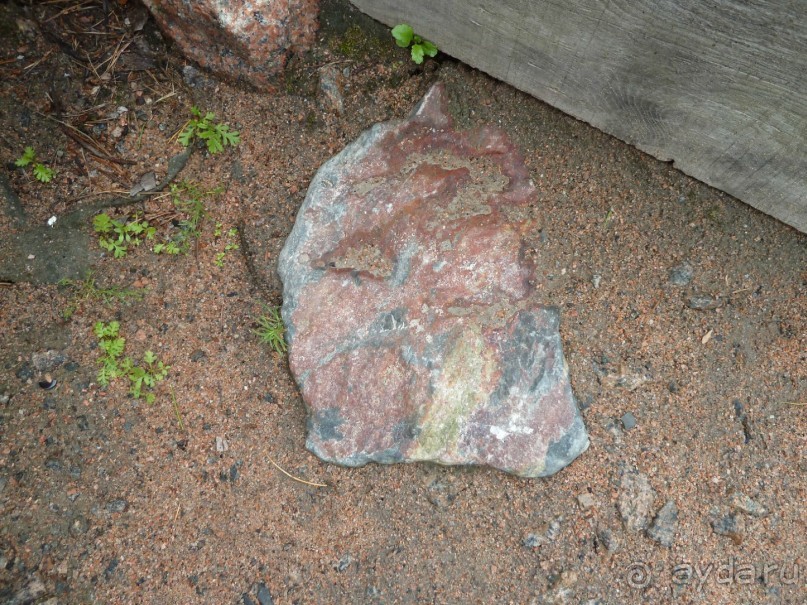 Котка. Просто Котка... Не просто Котка!!