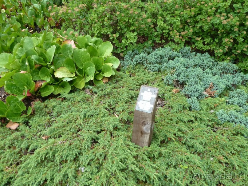 Котка. Просто Котка... Не просто Котка!!