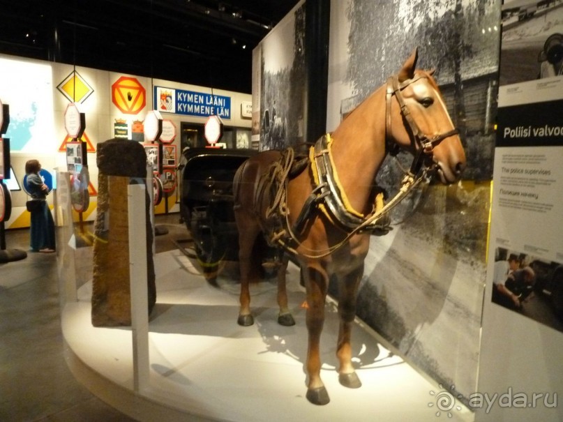 Котка. Просто Котка... Не просто Котка!!