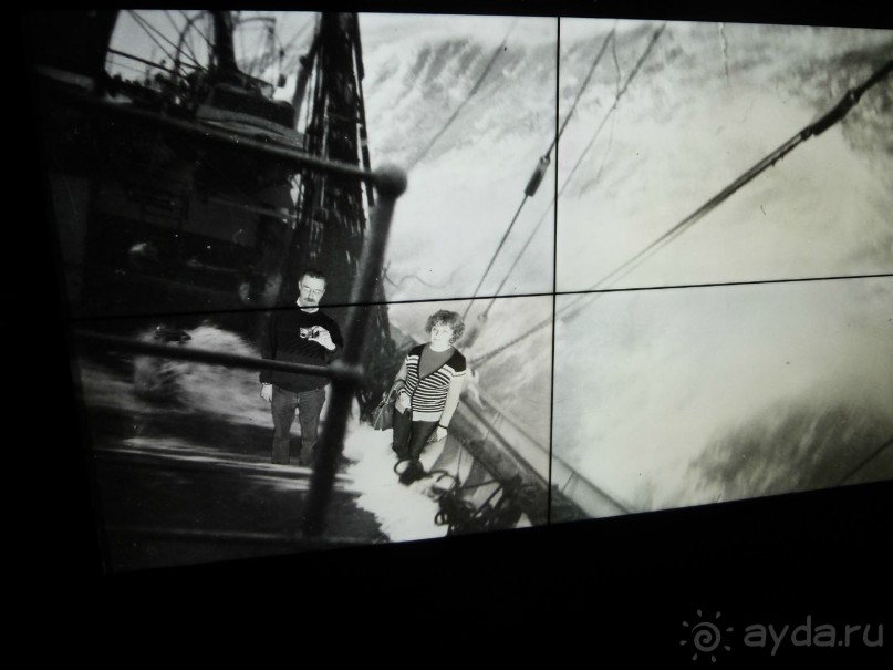 Котка. Просто Котка... Не просто Котка!!