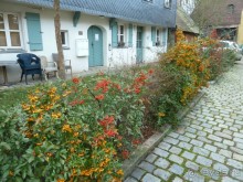 Альбом отзыва "Чудесные Рождественские городки около Нюрнберга. Фюрт, Бамберг, Ротенбург на Таубере."