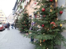 Альбом отзыва "Чудесные Рождественские городки около Нюрнберга. Фюрт, Бамберг, Ротенбург на Таубере."