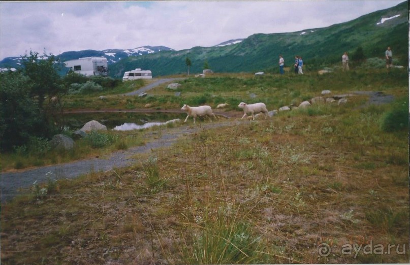 Автобусный тур по Скандинавии - Финляндия, Швеция, Норвегия, Дания.