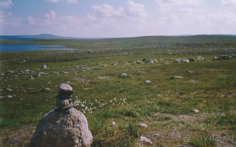 Автобусный тур по Скандинавии - Финляндия, Швеция, Норвегия, Дания.