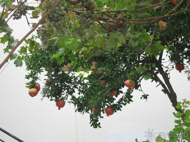 Тур по греческой классике и отдых на Халкидиках