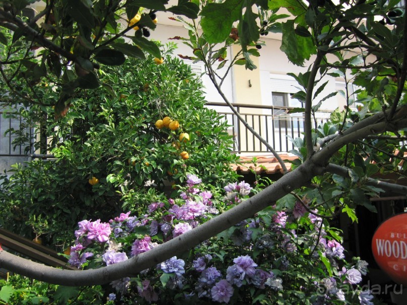 Тур по греческой классике и отдых на Халкидиках