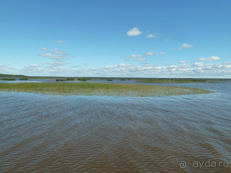 Красно-зеленый маршрут. Шалаш Ленина в Разливе и город Сестрорецк.
