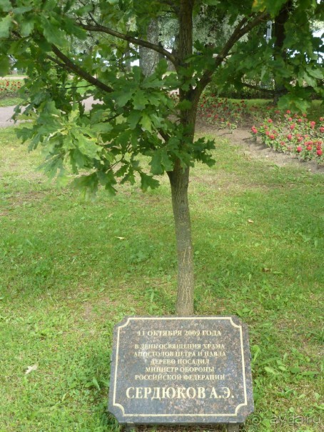 Красно-зеленый маршрут. Шалаш Ленина в Разливе и город Сестрорецк.