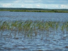 Красно-зеленый маршрут. Шалаш Ленина в Разливе и город Сестрорецк.