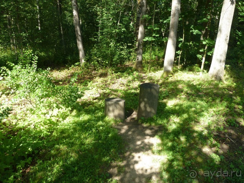 Альбом отзыва "Красно-зеленый маршрут. Шалаш Ленина в Разливе и город Сестрорецк."