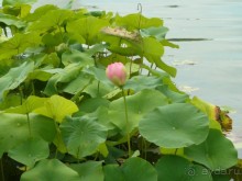 Каринтия и Вена. Хороший австрийский отдых на озере (с песнями).