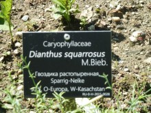 Каринтия и Вена. Хороший австрийский отдых на озере (с песнями).