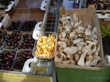 Каринтия и Вена. Хороший австрийский отдых на озере (с песнями).