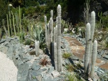 Каринтия и Вена. Хороший австрийский отдых на озере (с песнями).