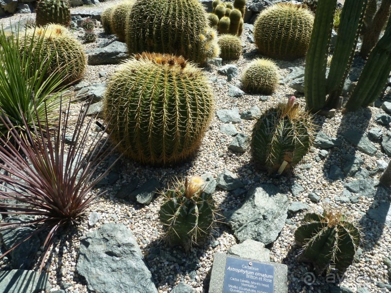 Каринтия и Вена. Хороший австрийский отдых на озере (с песнями).