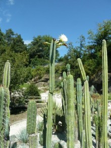 Каринтия и Вена. Хороший австрийский отдых на озере (с песнями).